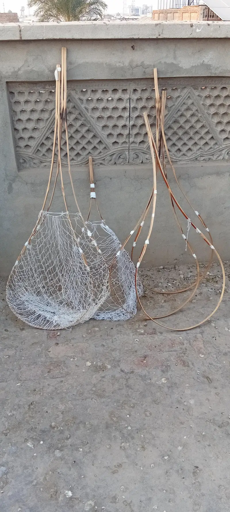 Vip chapka in pigeon and parrots cage full hard iron cage — photo 6