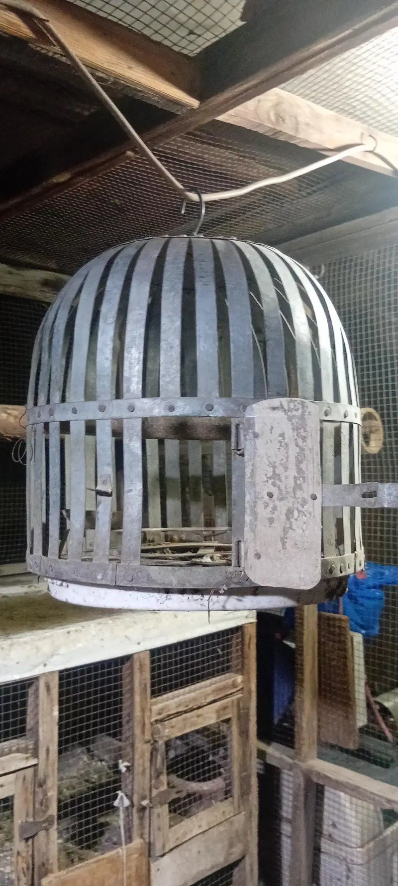 Vip chapka in pigeon and parrots cage full hard iron cage — photo 7