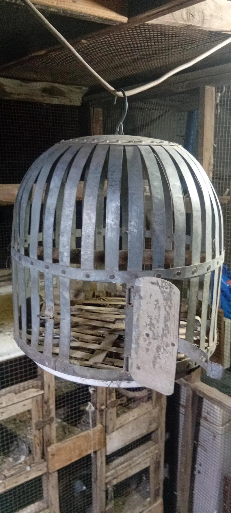 vip chapka and parrots high quality cage full iron cage — photo 2