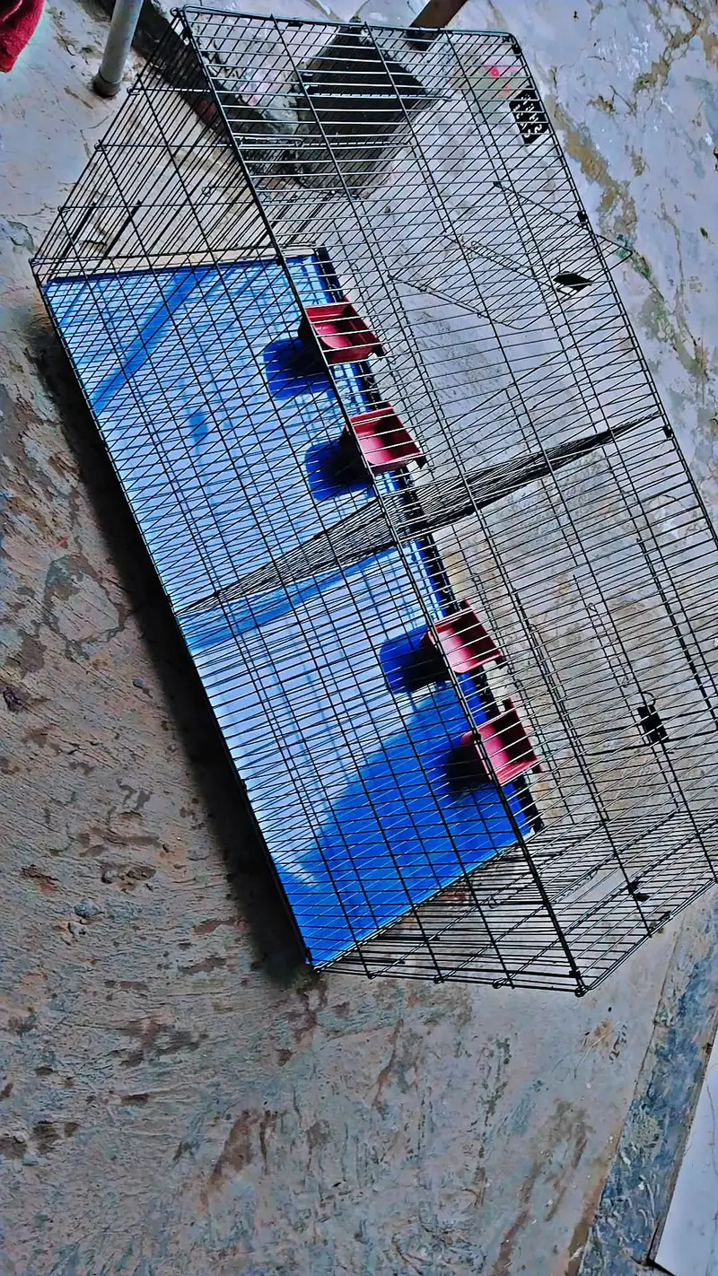 Cage for sale — photo 2