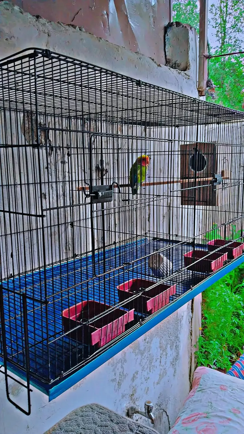Cage for sale — photo 3