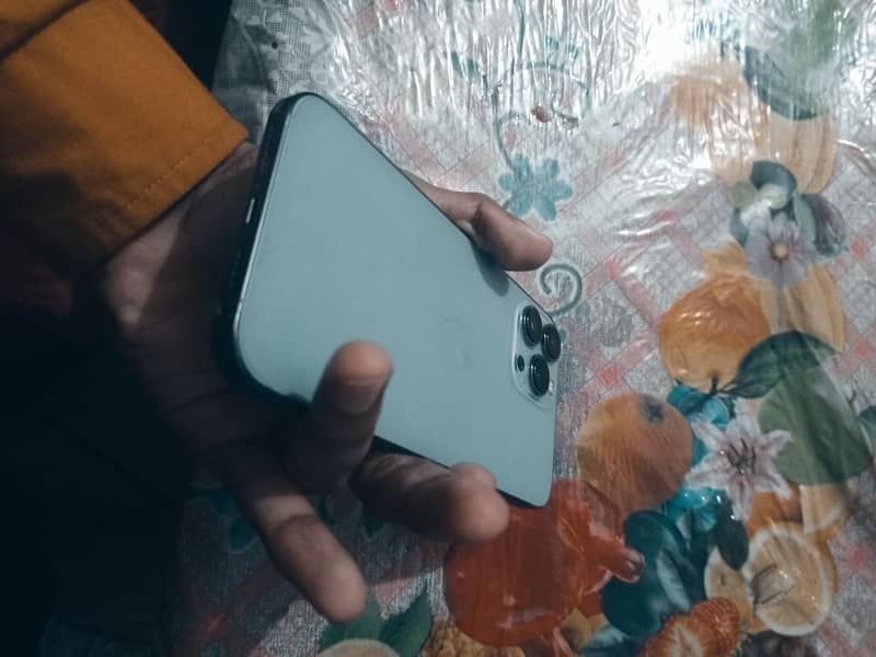 Apple iPhone 13 Pro Max 1