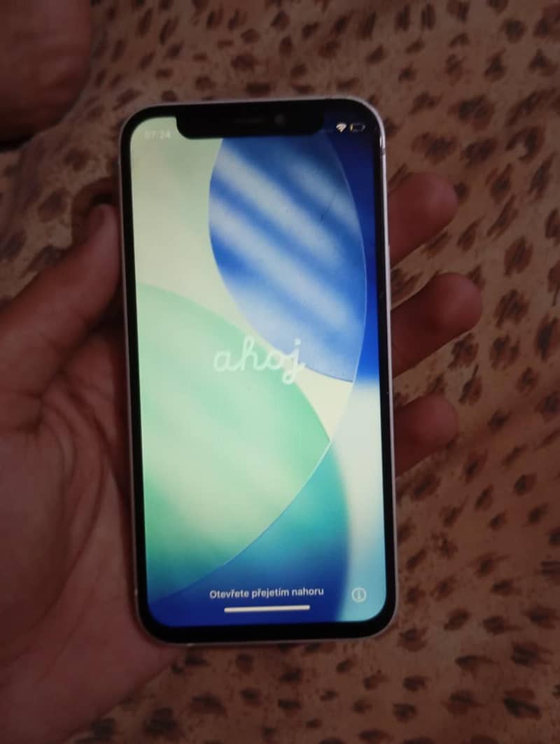 Apple iPhone 12 mini 1