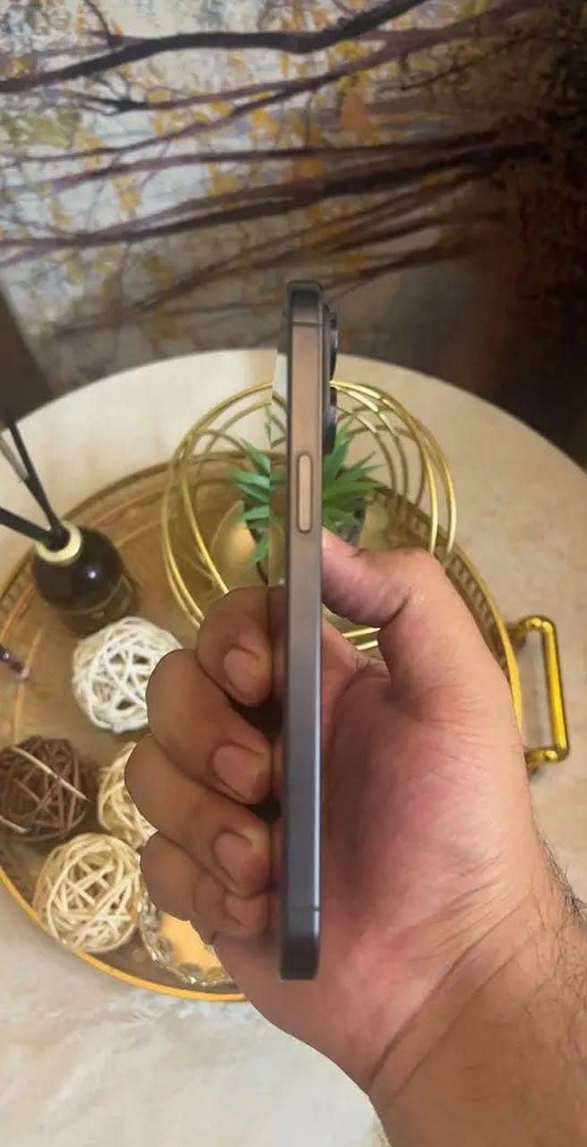 Apple iPhone 15 Pro Max 1