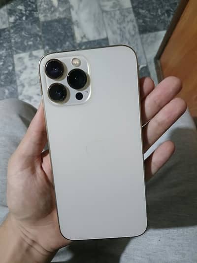 Apple iPhone 13 Pro Max