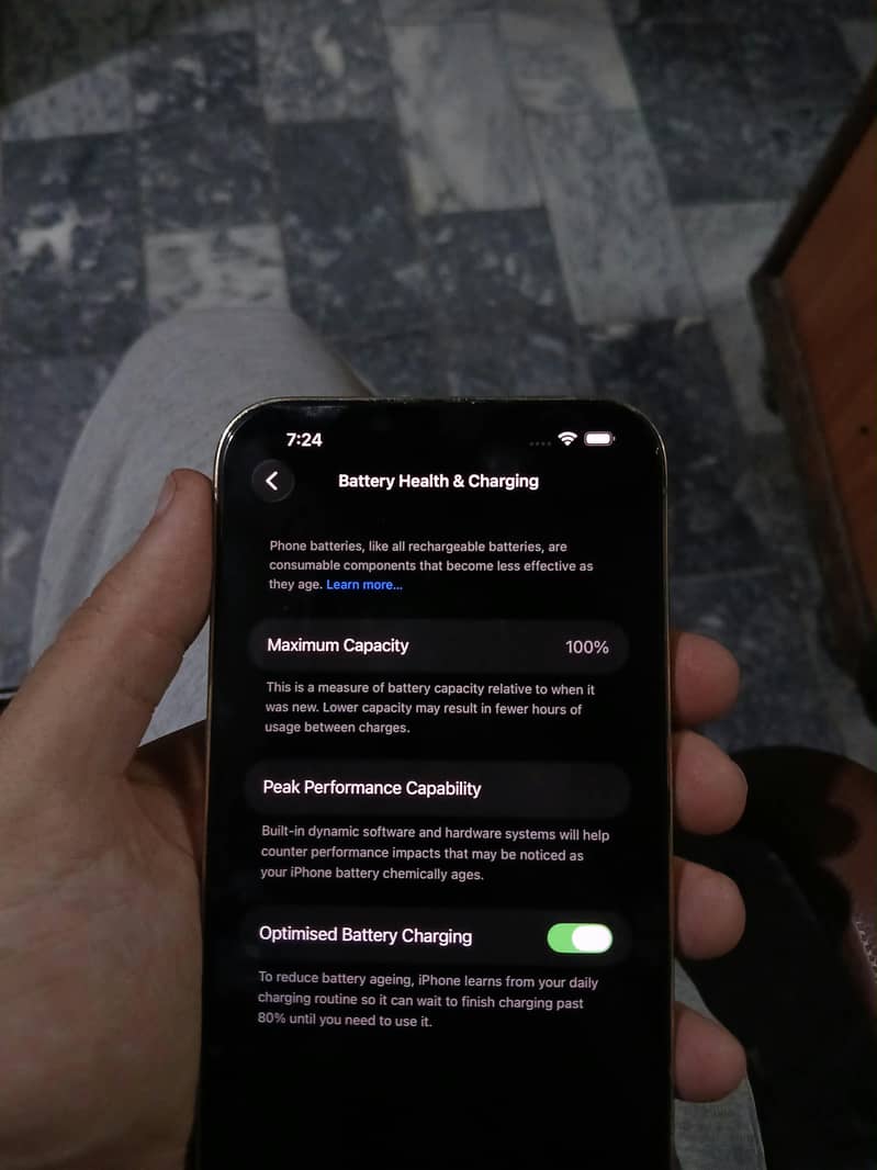 Apple iPhone 13 Pro Max 1