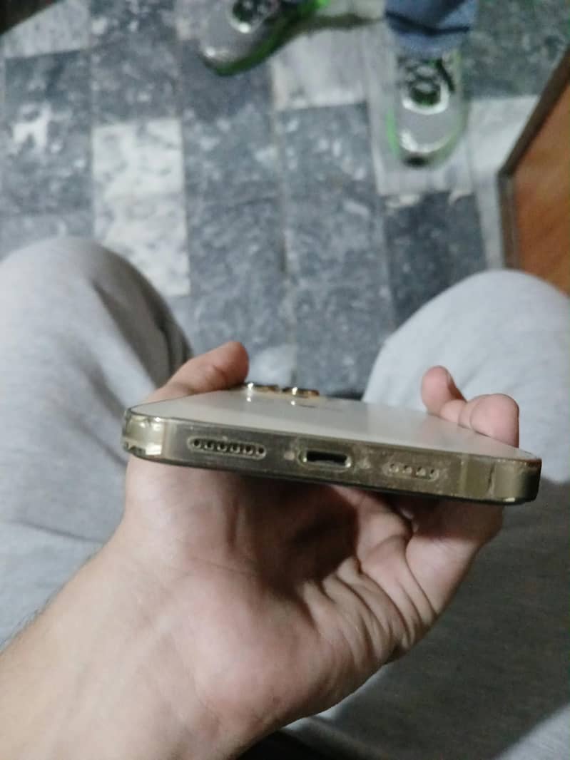 Apple iPhone 13 Pro Max 2