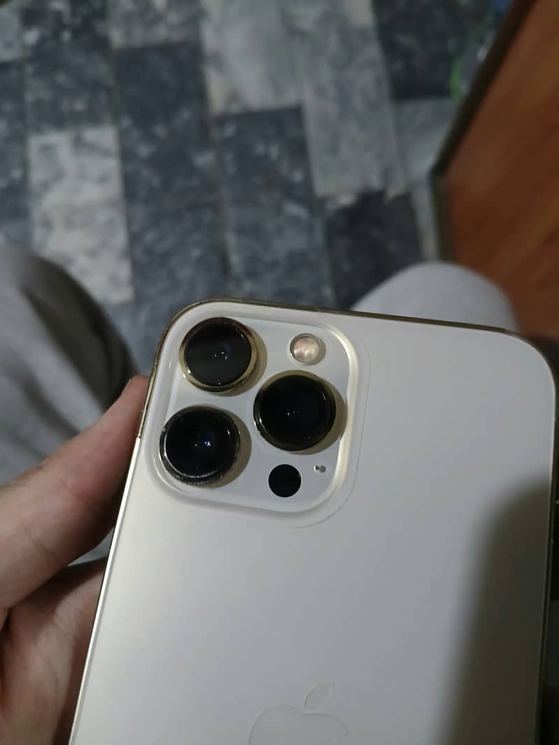 Apple iPhone 13 Pro Max 3