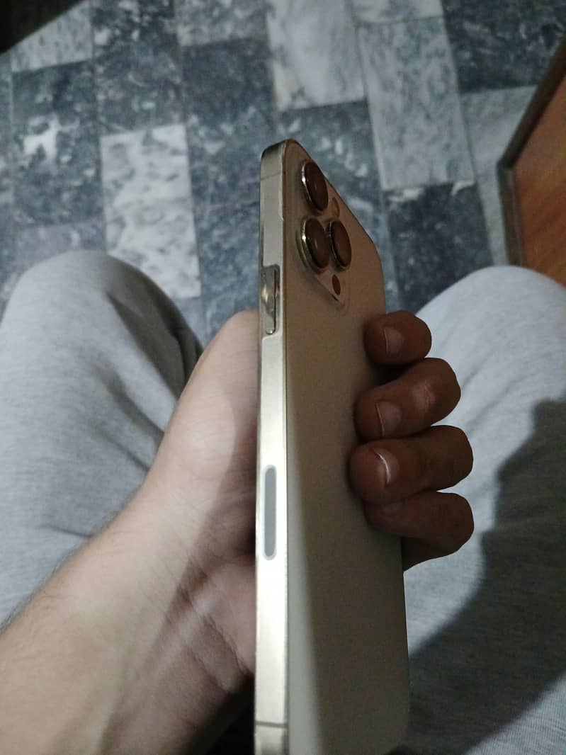Apple iPhone 13 Pro Max 4