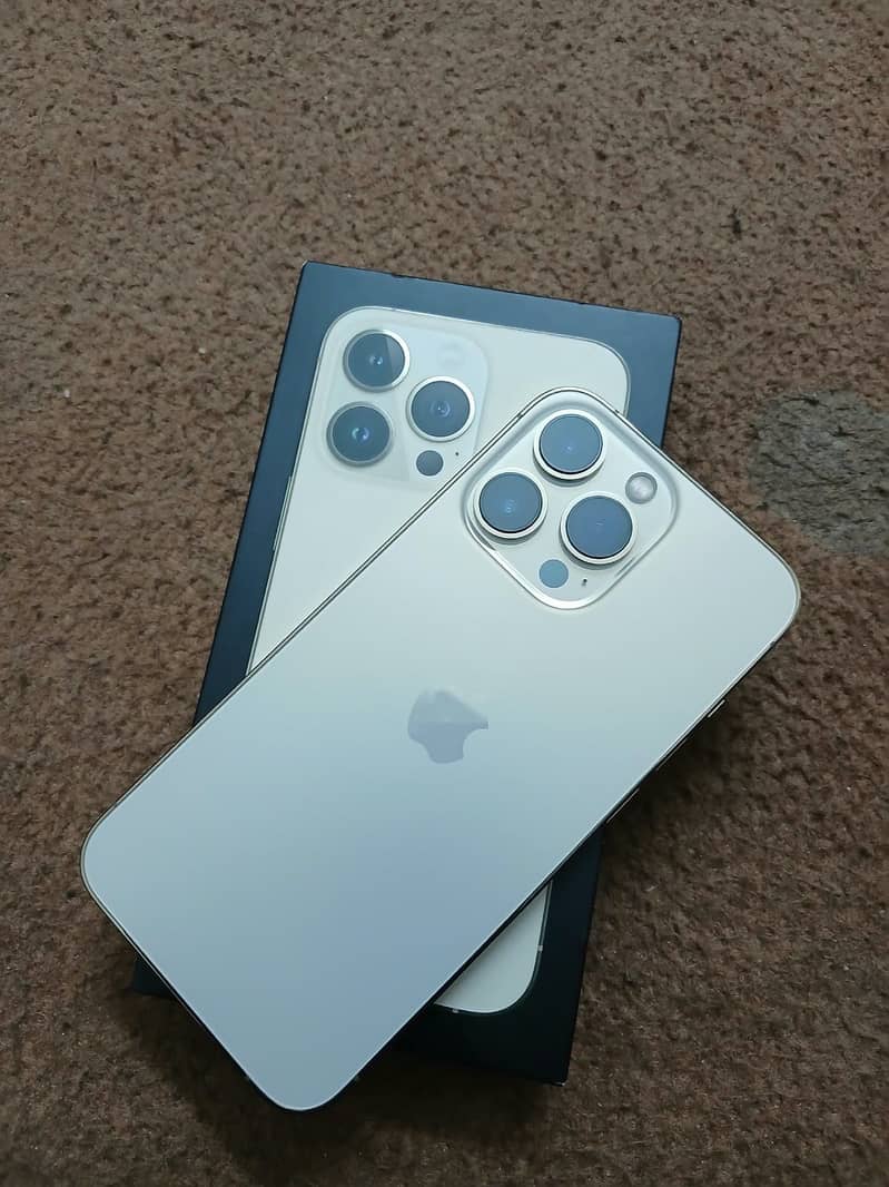Apple iPhone 13 Pro 9