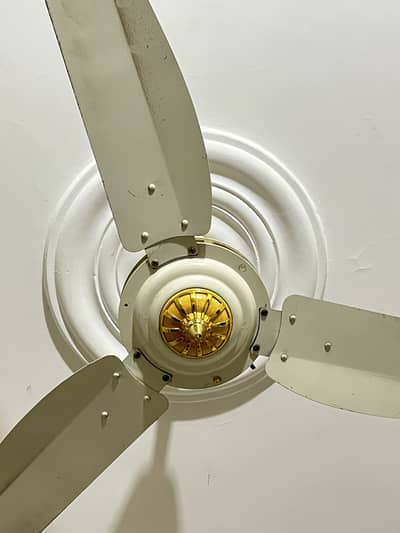 Ceiling fans