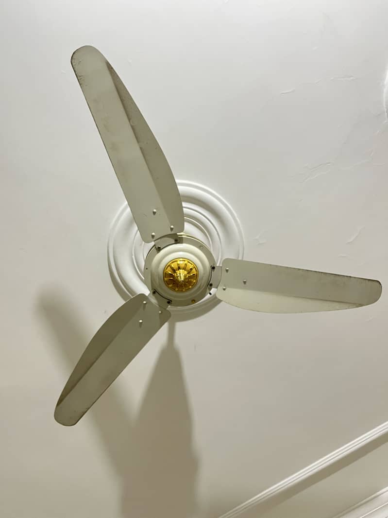 Ceiling fans 1