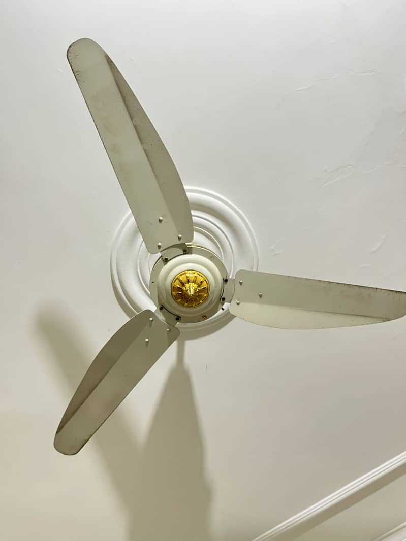 Ceiling fans 2