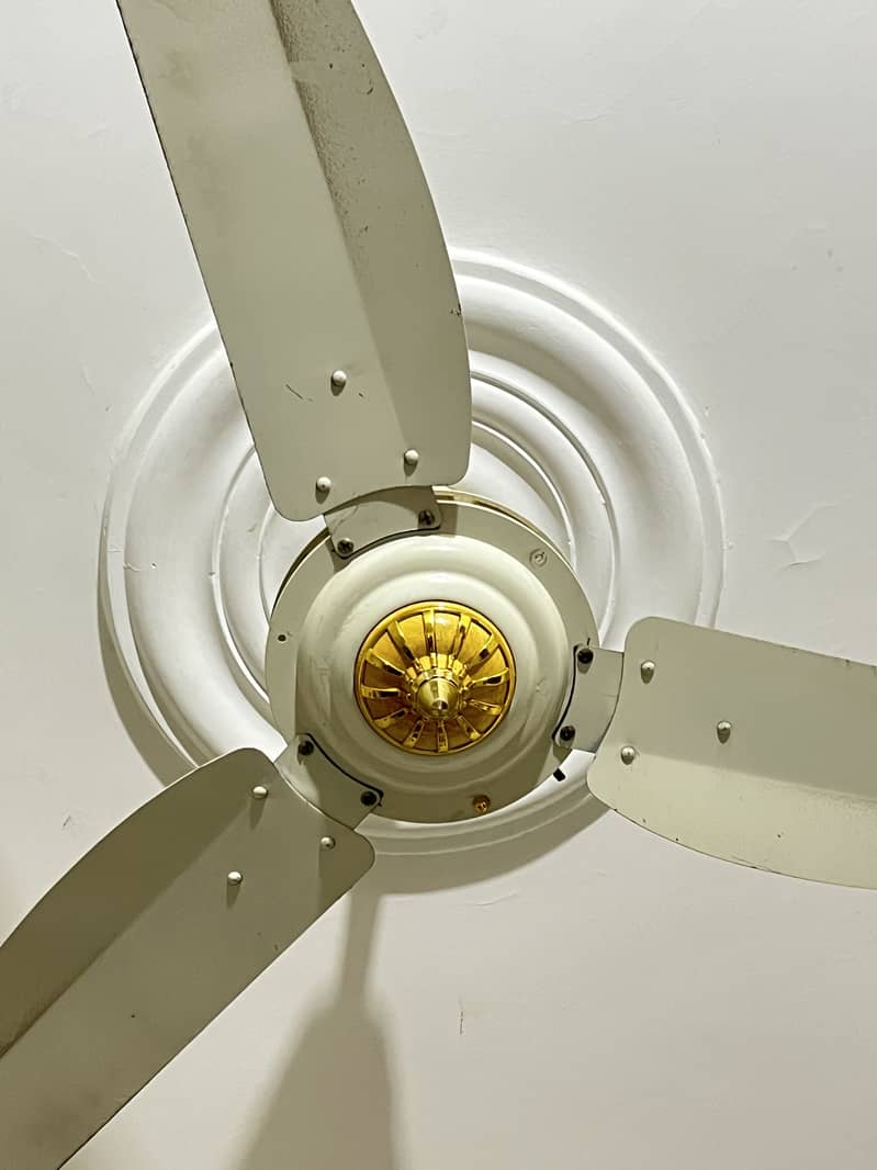 Ceiling fans 3