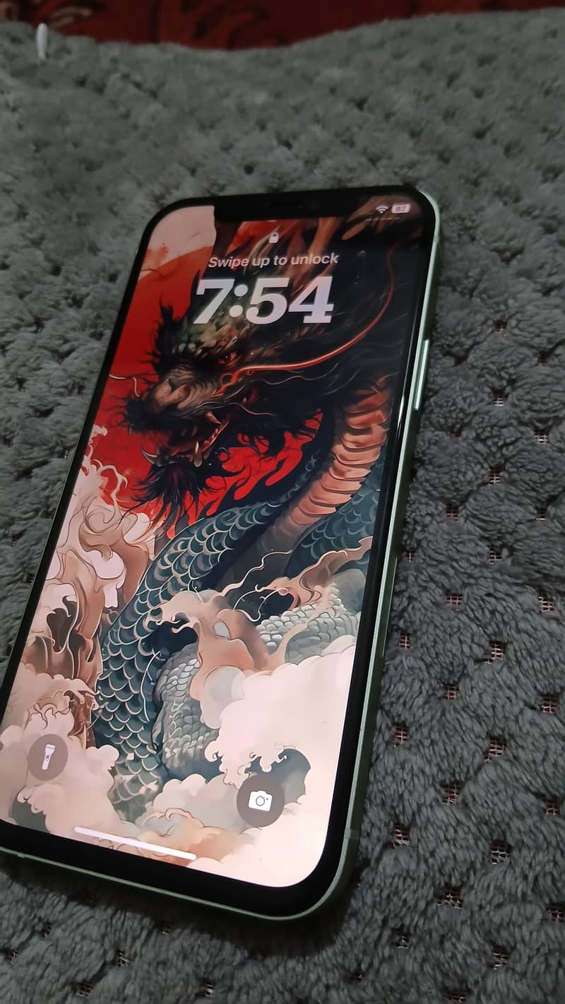 Apple iPhone 12 1