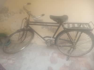 shuraab cicyle for sale