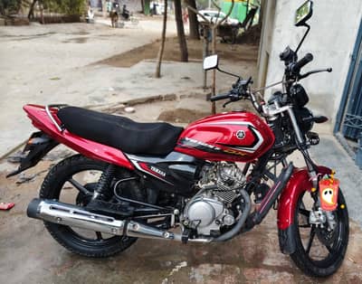 ybr z-dx 2025-2026