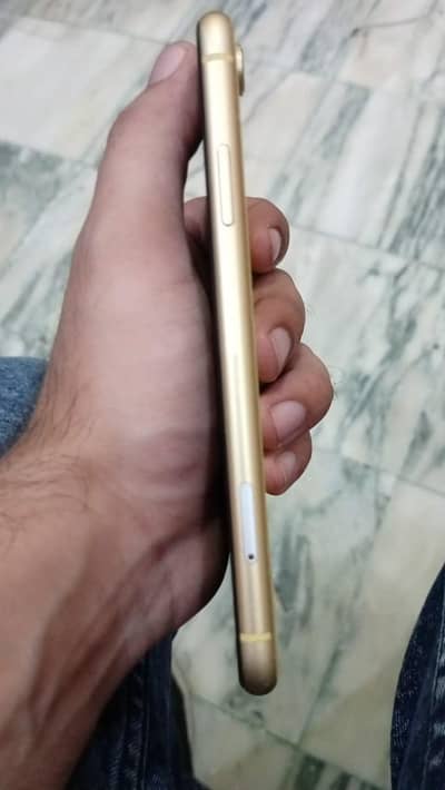 Apple iPhone XR