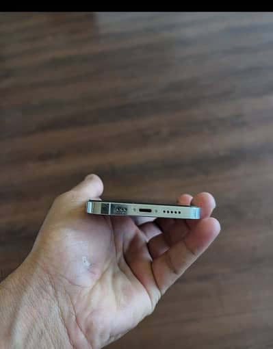 Apple iPhone 12 Pro