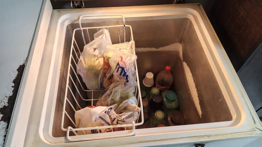 WAVES Triplet Deep Freezer for Sale