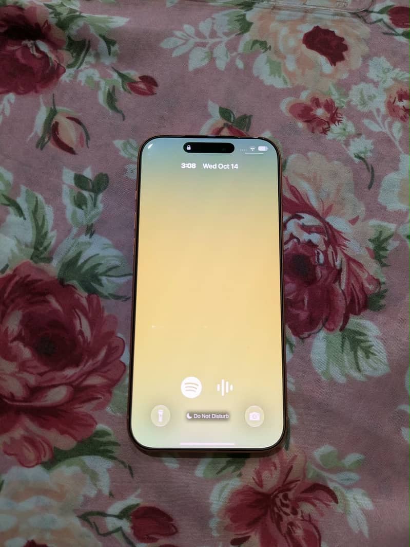 Apple iPhone 17 Pro Max 1
