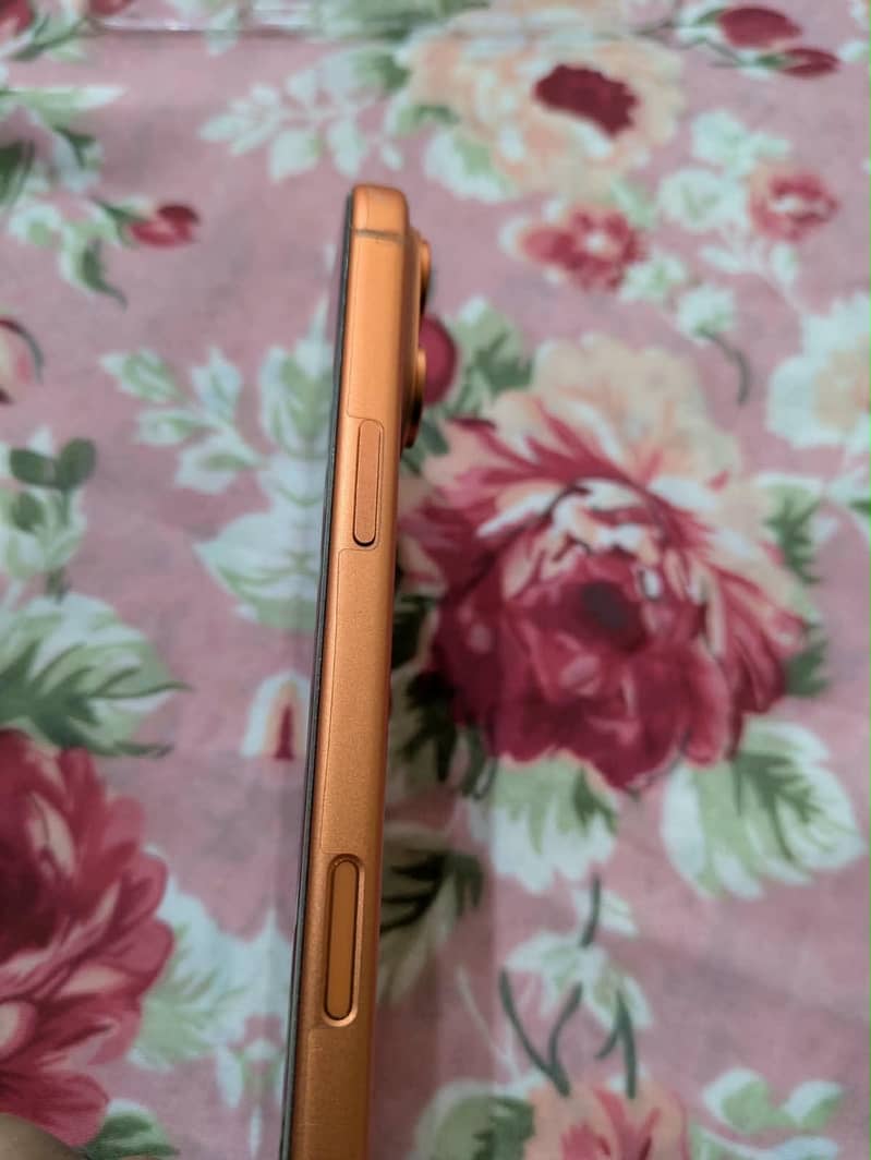 Apple iPhone 17 Pro Max 3