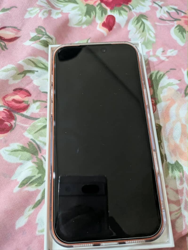 Apple iPhone 17 Pro Max 5