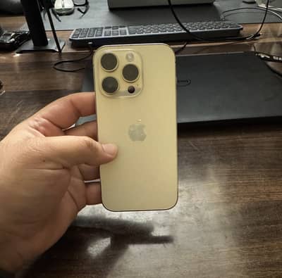 Apple iPhone 14 Pro Golden 10/10