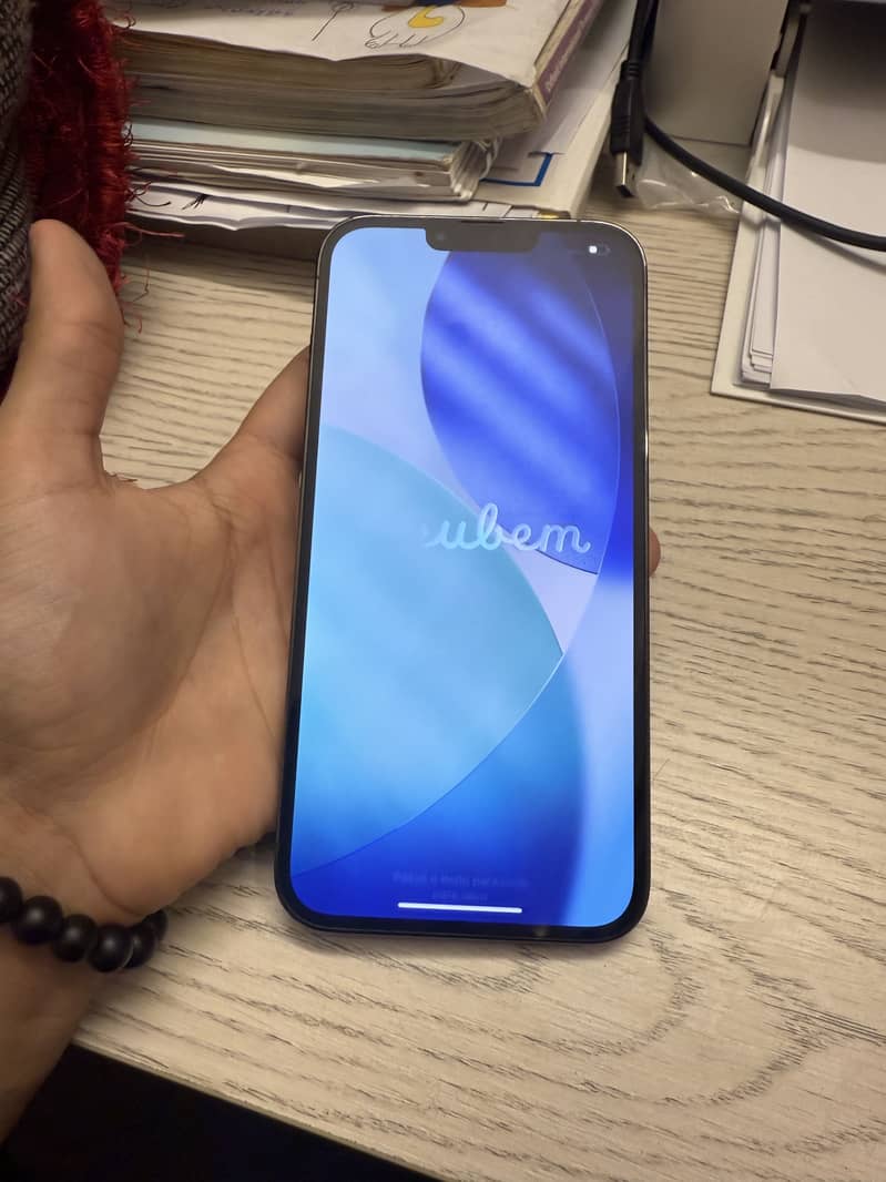 Apple iPhone 13 Pro Max 1