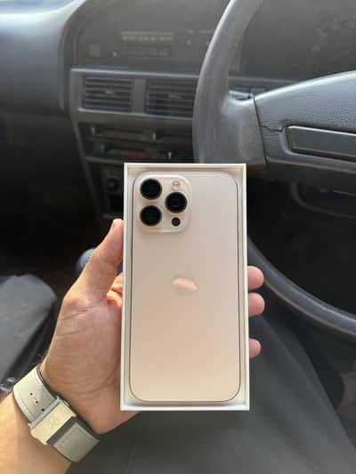Apple iPhone 16 Pro Max
