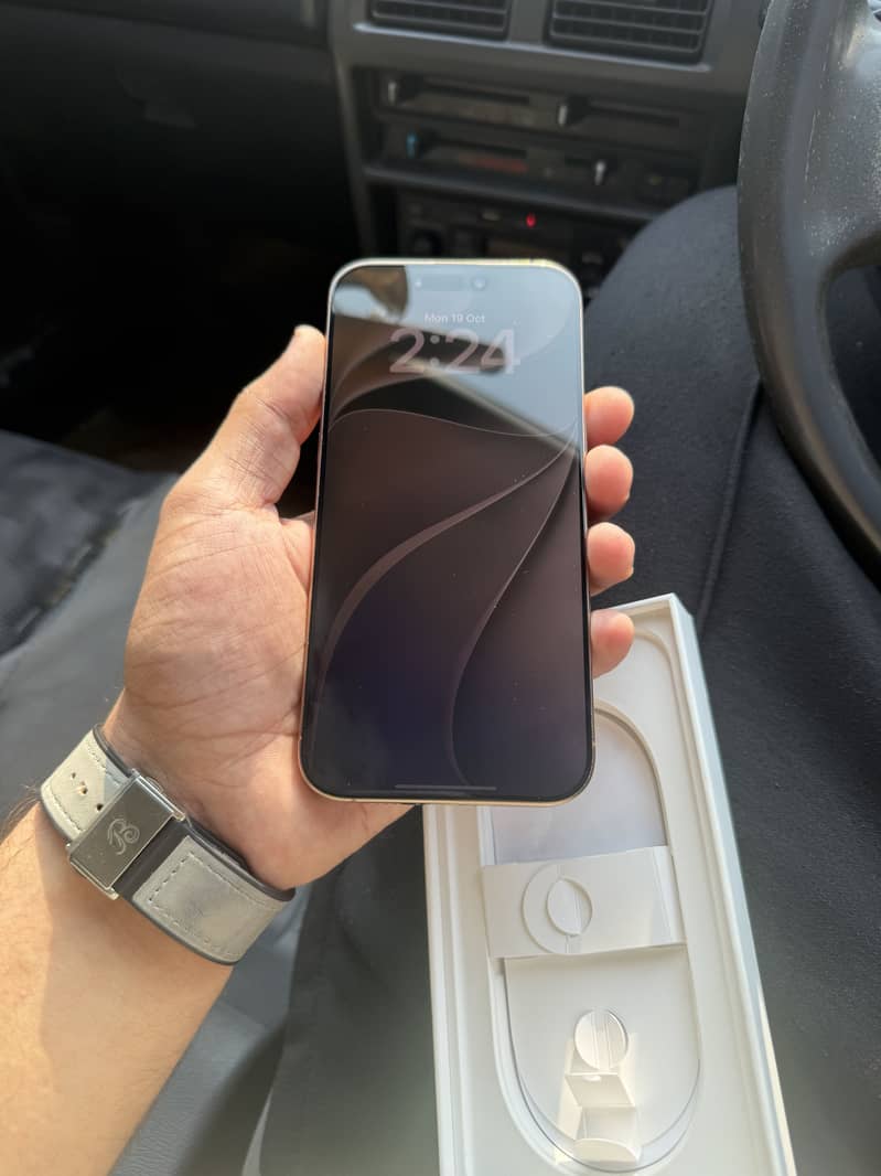 Apple iPhone 16 Pro Max 2