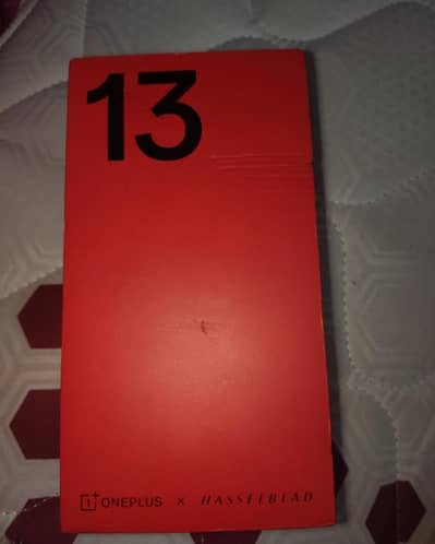 One Plus 13