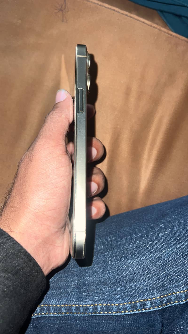 Apple iPhone 13 Pro Max 4