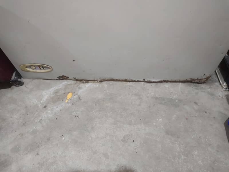 Deep Freezer 3