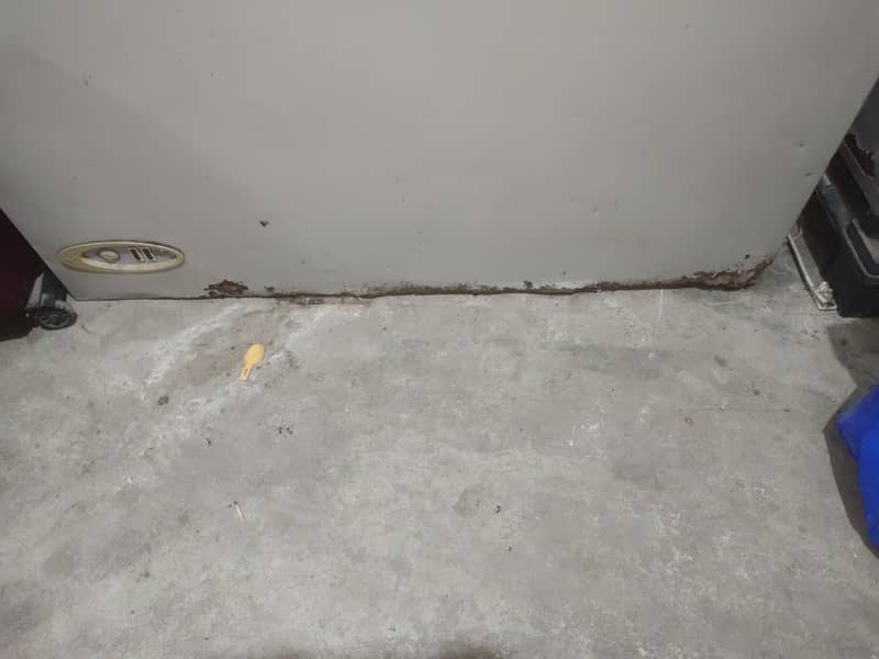 Deep Freezer 4