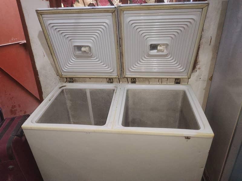 Deep Freezer 10