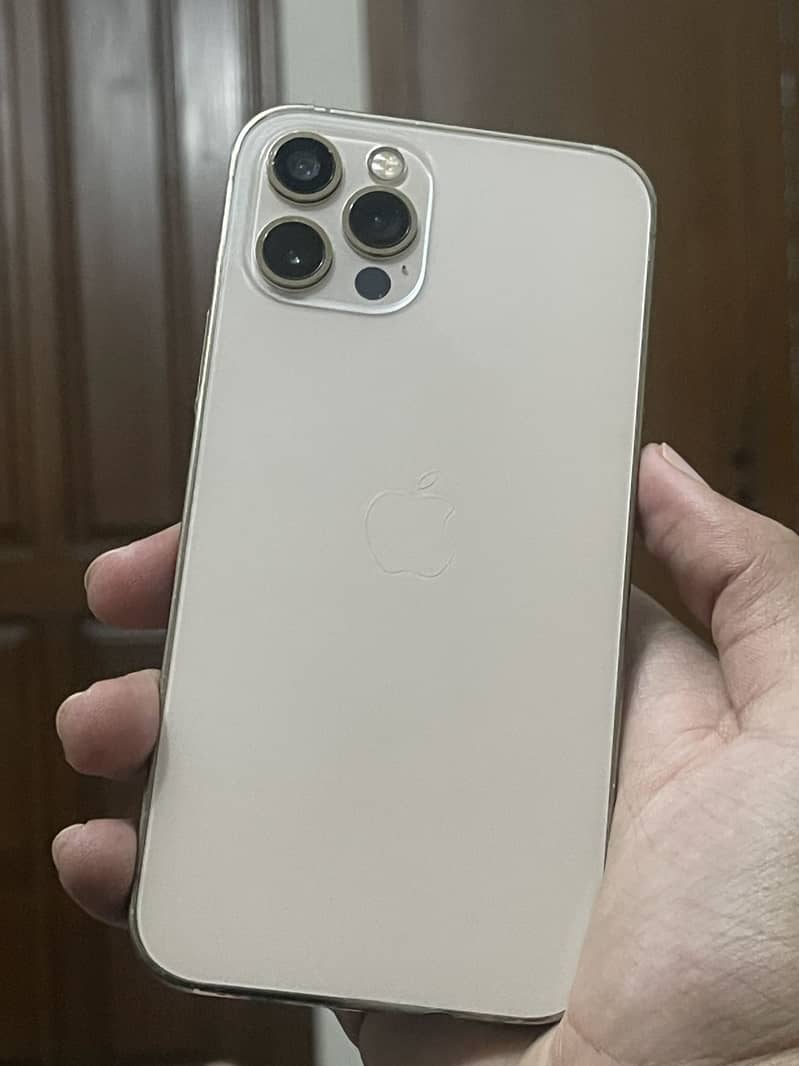 iPhone 12 Pro 0