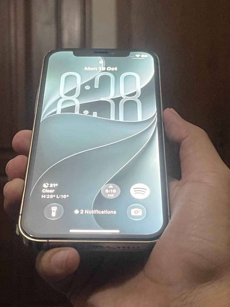 iPhone 12 Pro 1