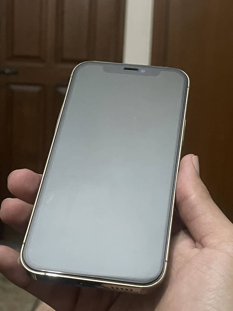 iPhone 12 Pro 3
