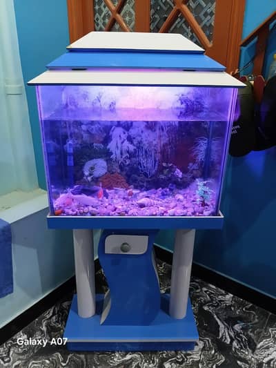 Fish Aquarium