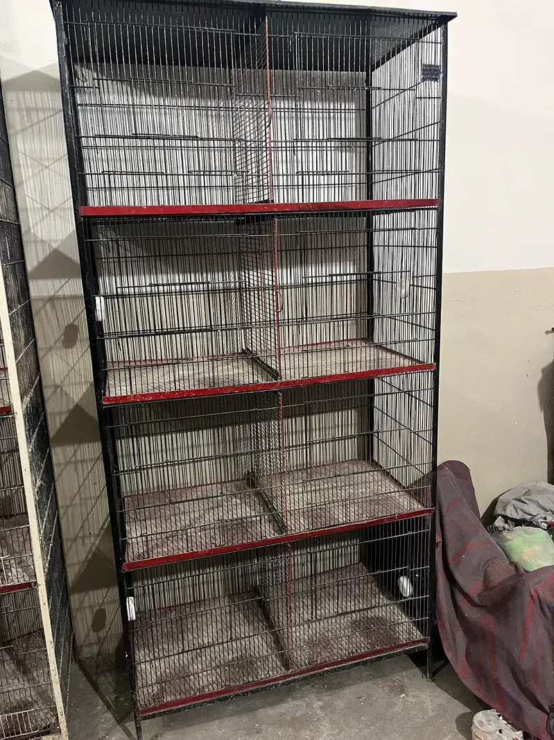 price: ,30,000 potion cages available contact number: 03442071049 — photo 2