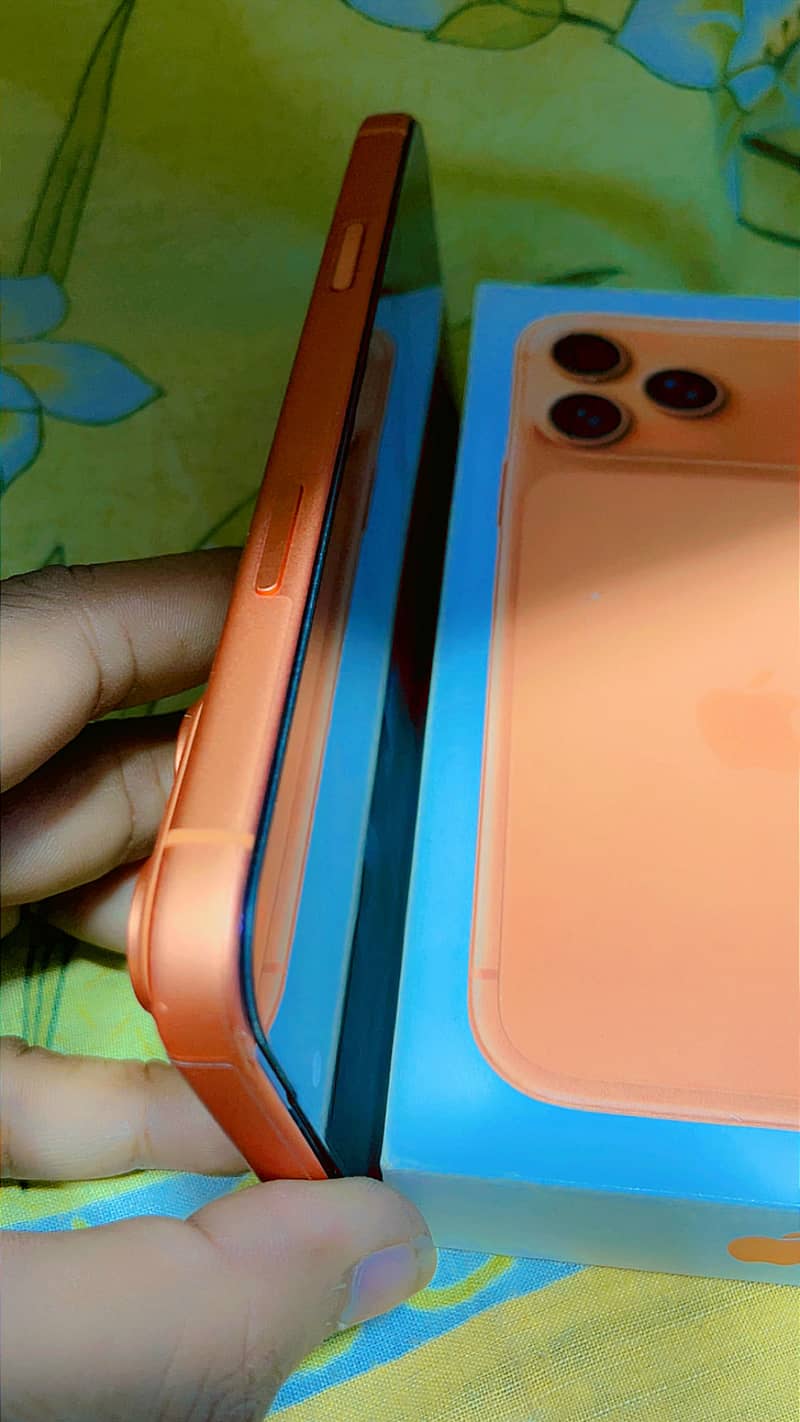 iPhone 17 pro max 4