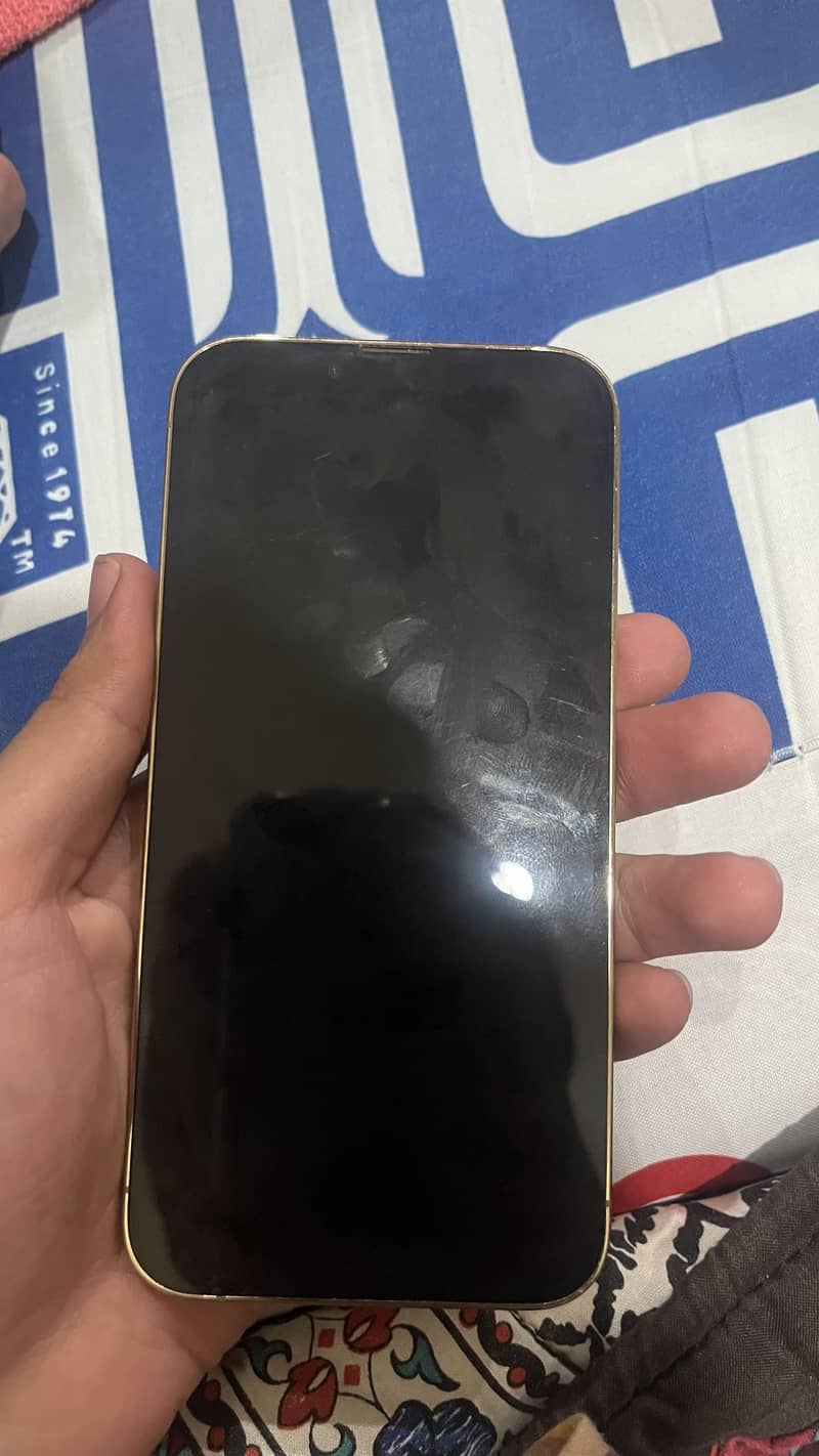 Apple iPhone 13 Pro 1