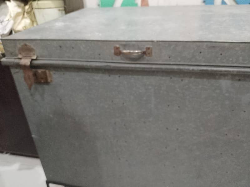 peti trunk 1