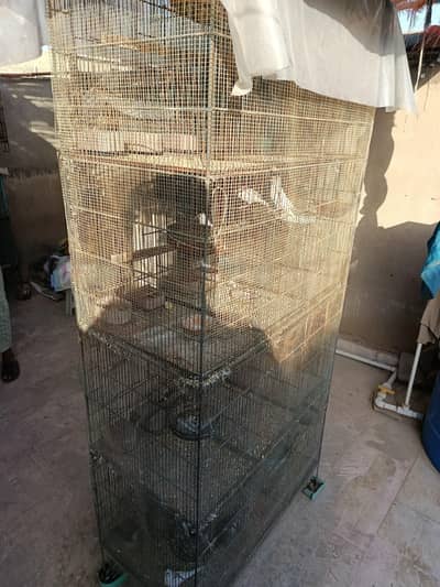 3 cage