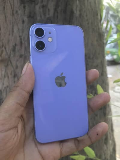 Apple iPhone 12 mini