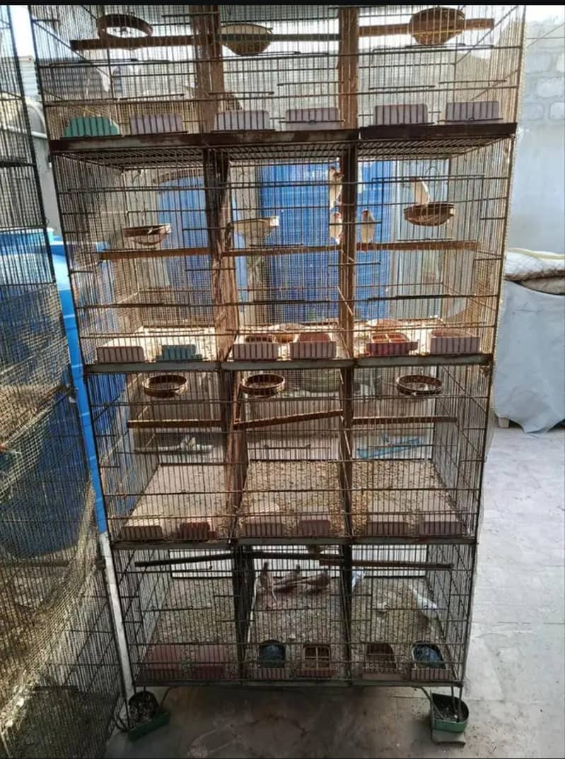 3 cage 3