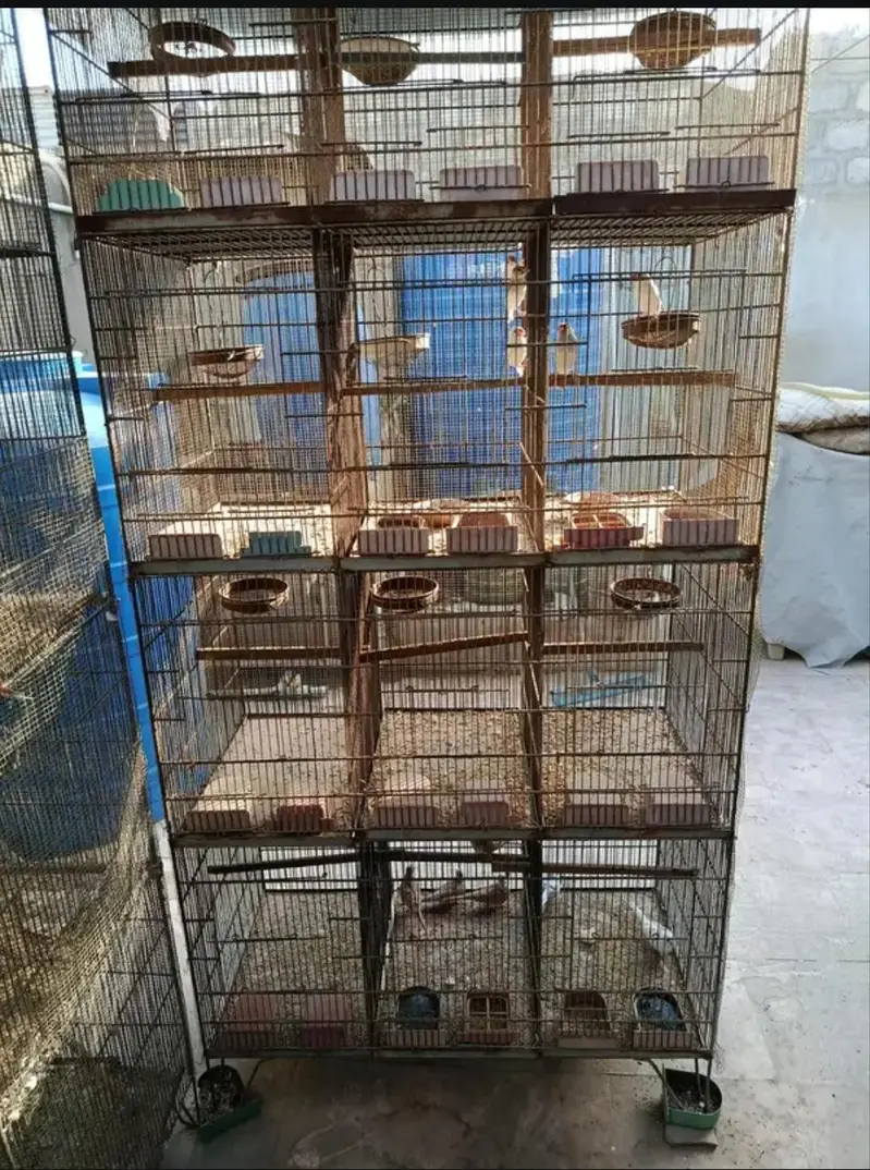 3 cage — photo 4