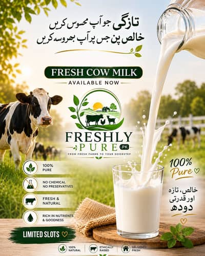 Fresh cow milk