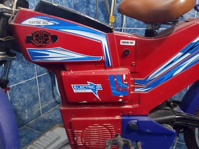electric bike + cycle